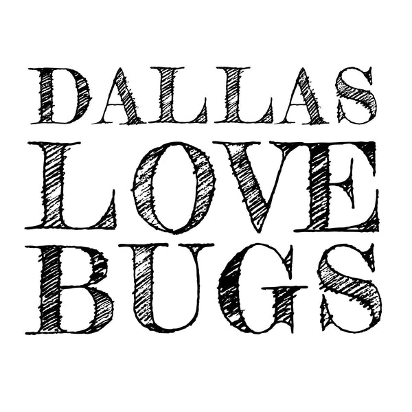 Dallas Love Bugs